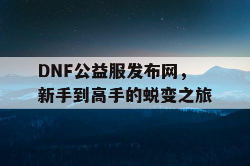 DNF公益服发布网，新手到高手的蜕变之旅