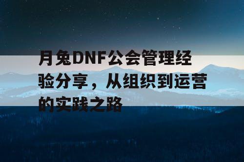 月兔DNF公会管理经验分享，从组织到运营的实践之路