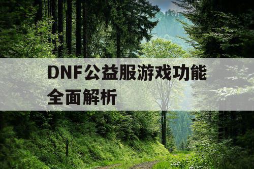 DNF公益服游戏功能全面解析