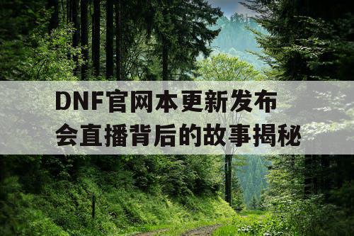 DNF官网本更新发布会直播背后的故事揭秘