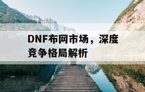 DNF布网市场	，深度竞争格局解析